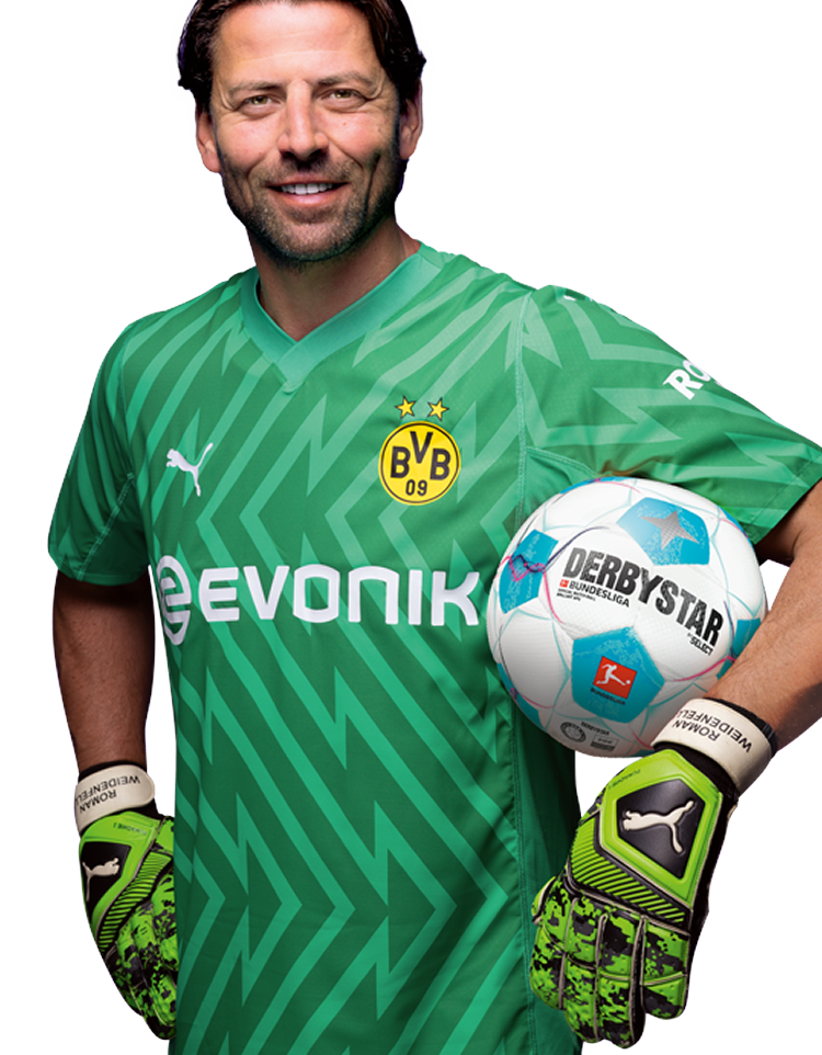 BVB player image